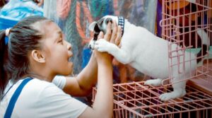 Blog09 Free Img 300x167