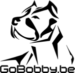 GoBobby Final 2020 kleiner 1