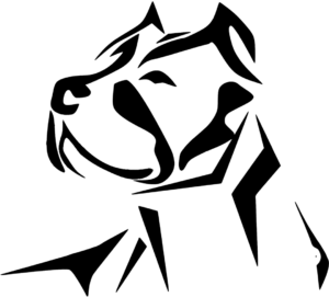 GoBobby Final 2020 enkel logo 1080 resol 300x271