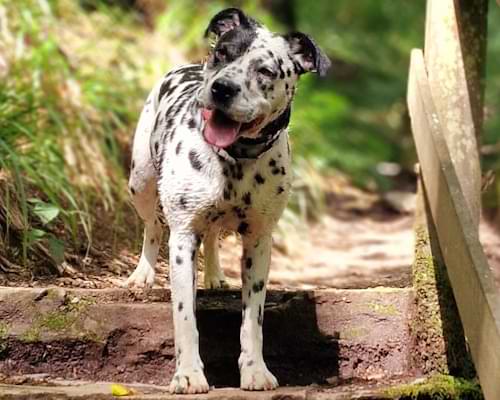 How to create a listing