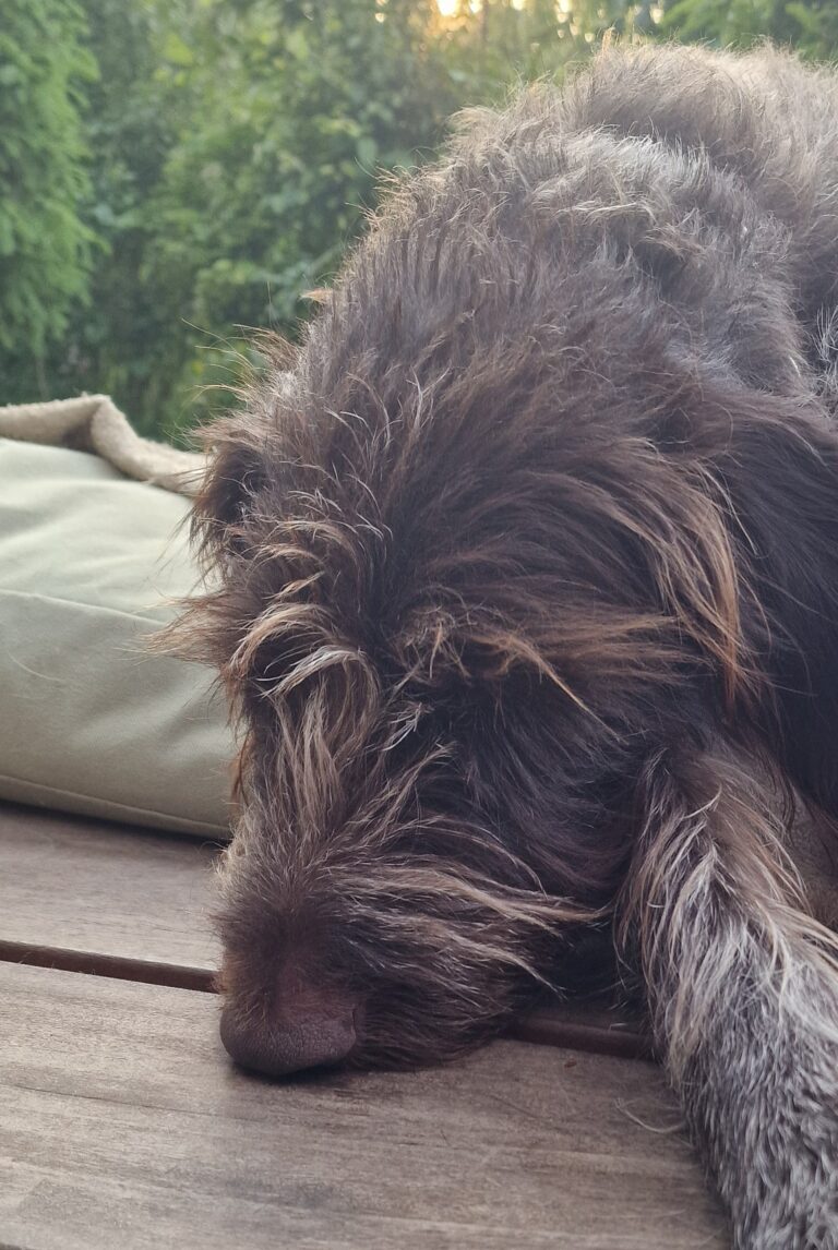 20250514 195355 768x1146