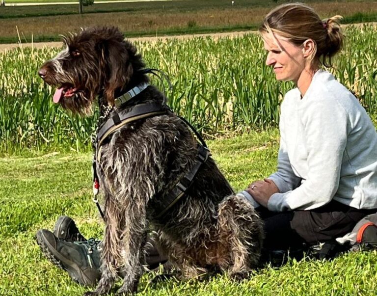 2IMG 20250515 WA00071 768x603