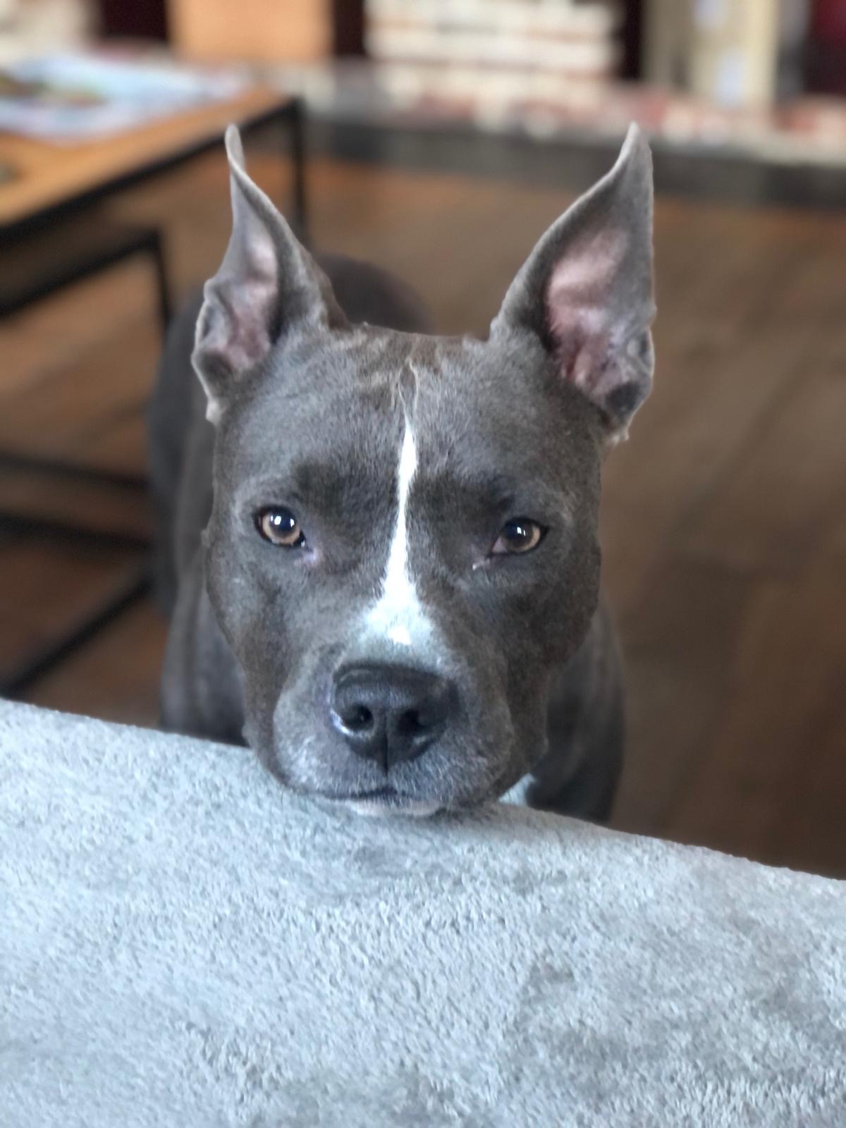 802447e6 3c14 428d 97b2 64a43c9b2e2e