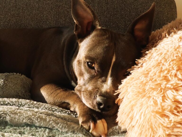 A0B9EDA6 77CC 4188 8342 B5F88C0D4D9B 768x576