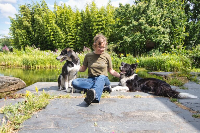 IMG 20230705 WA0009 768x512