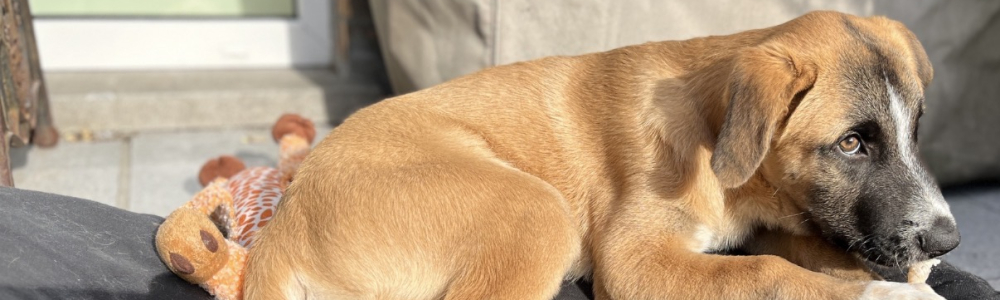 User banner image