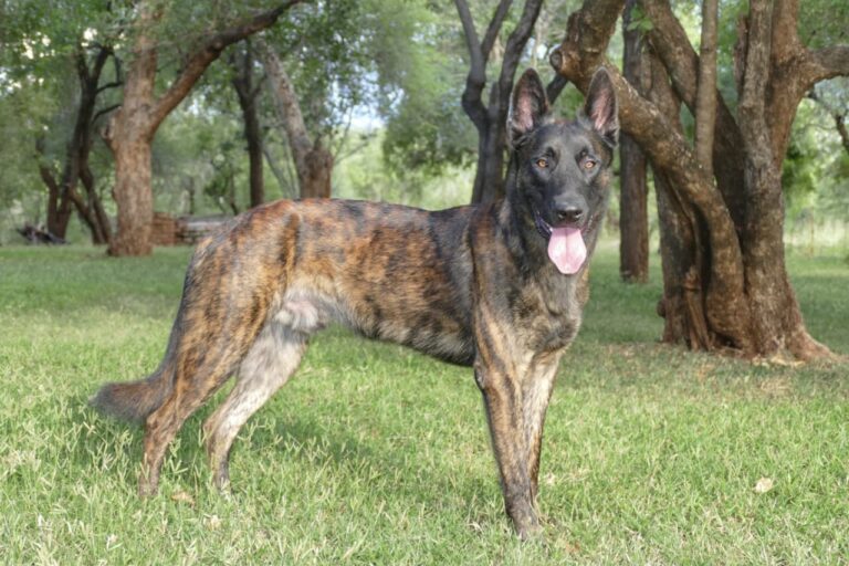 WhatsApp Image 2026 04 16 at 16.38.21 768x512