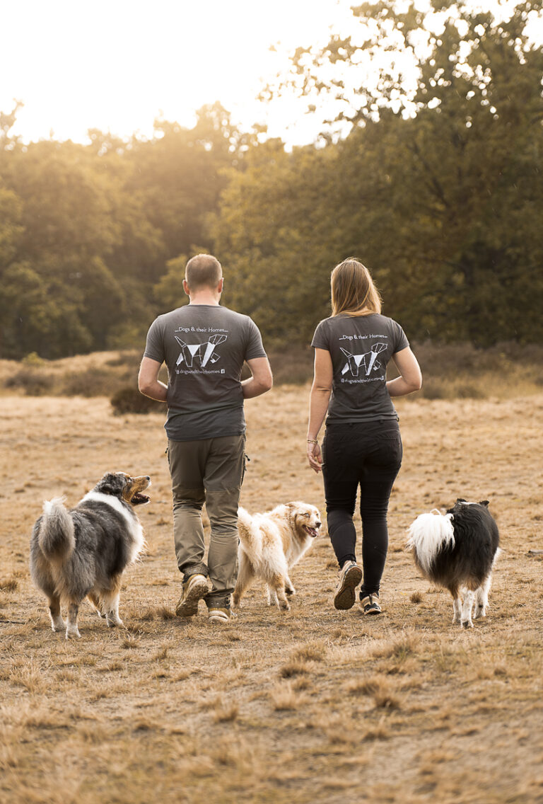 dogs their homes 1 1 768x1136