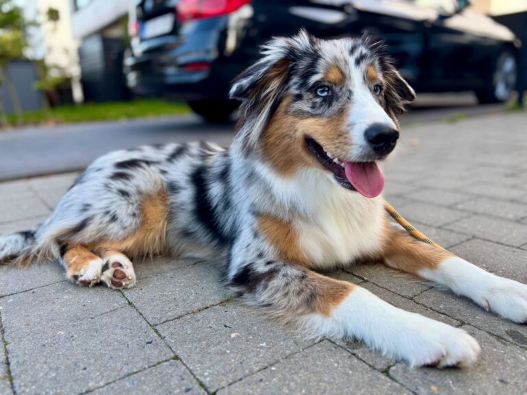 f3b96c51 3857 4d38 a242 d27de4e7f519 768x576