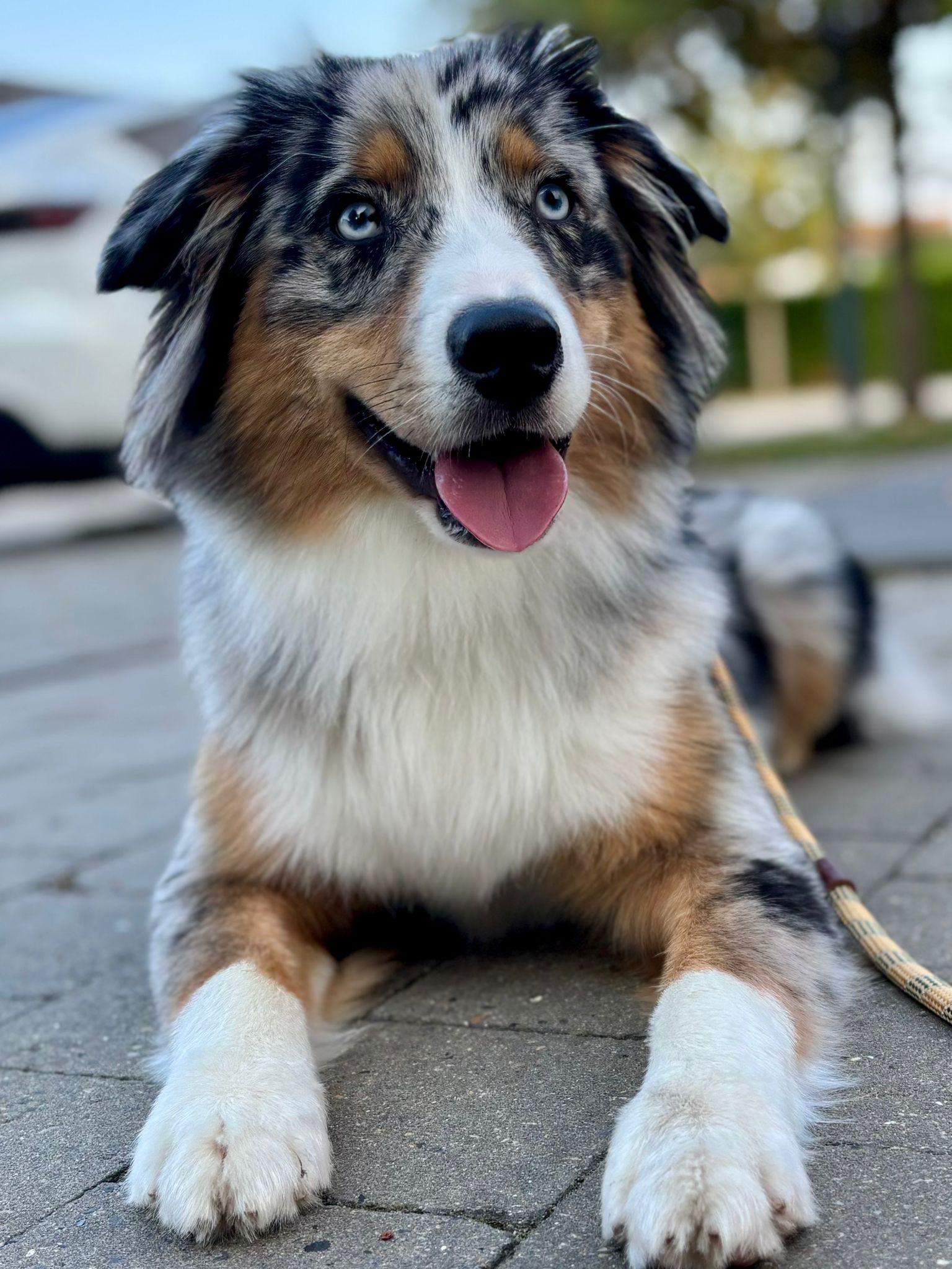 fb62a45b 32f5 4095 9076 09ac35889937