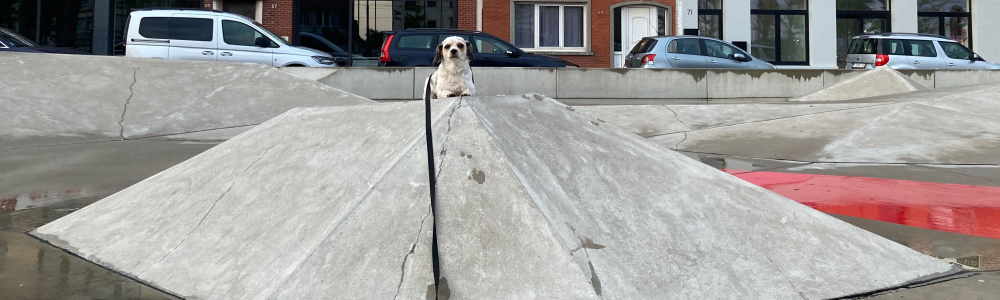 User banner image