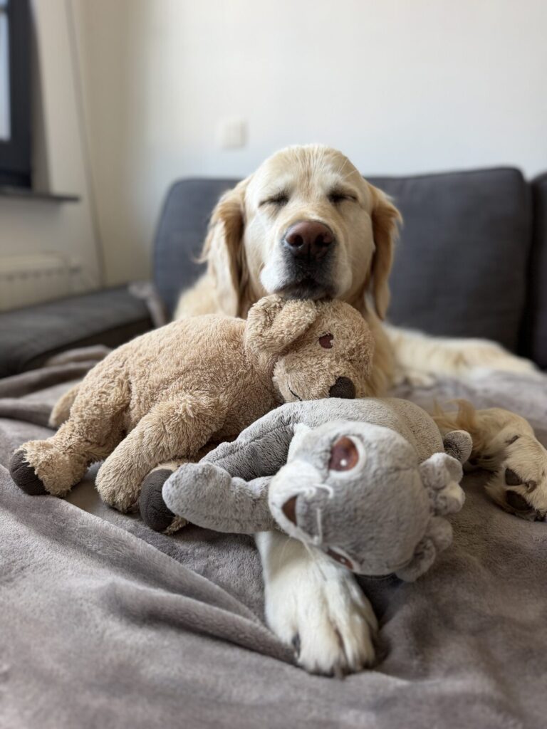 Zoë